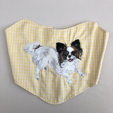 画像をギャラリービューアに読み込む, Papillon Corset