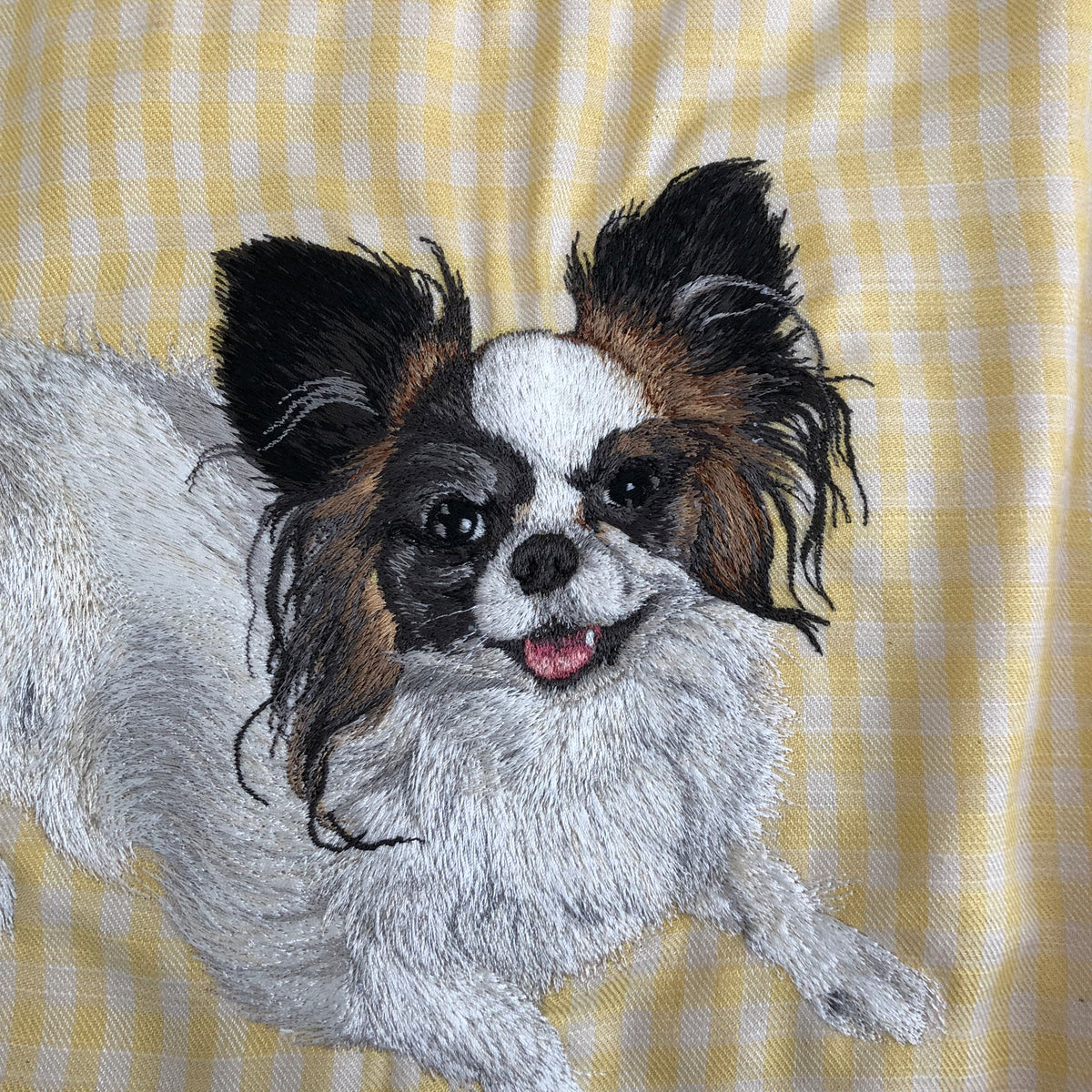 パピヨン　アート・グラフィック My sweet paps!!! #papillon #phalene #dogphotography やっぱり好きだ